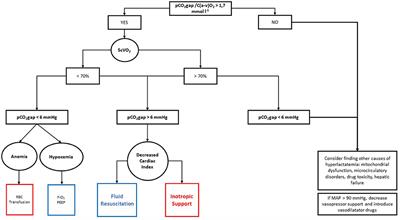 Treatment of Hyperlactatemia in Acute Circulatory Failure Based on CO2-O2-Derived Indices: Study Protocol for a Prospective, Multicentric, Single, Blind, Randomized, Superiority Study (The LACTEL Study)